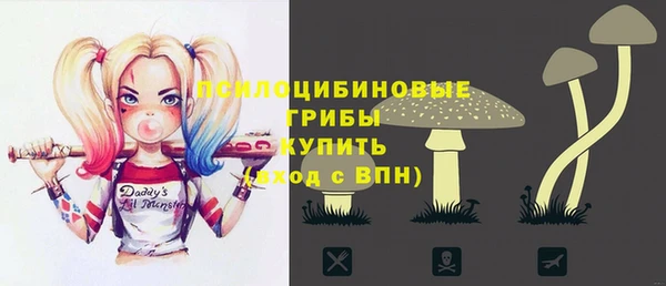 а пвп мука Елизово