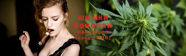 PSILOCYBIN Елабуга