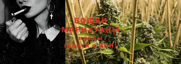 PSILOCYBIN Елабуга