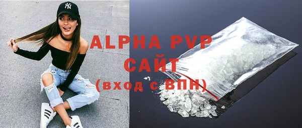 PSILOCYBIN Елабуга