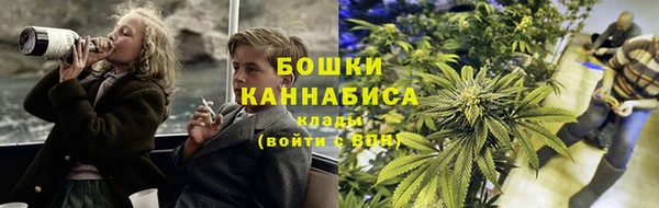 PSILOCYBIN Елабуга