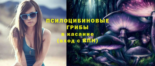jwh Ельня