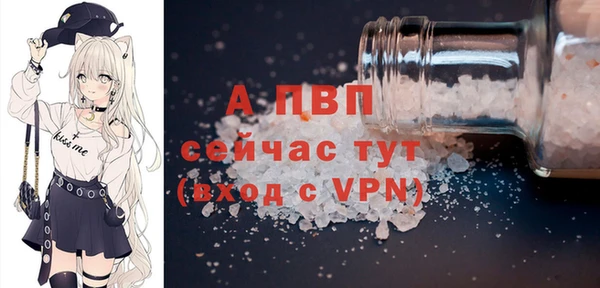 PSILOCYBIN Елабуга